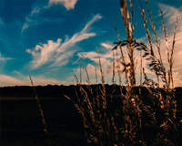 让团队更给力的云呼轰炸机