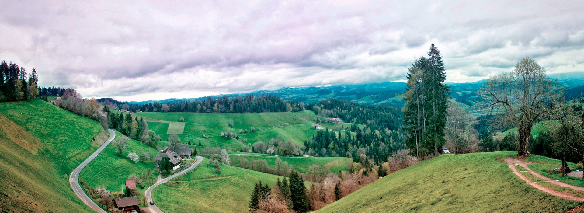 短信压力测试在线网页版